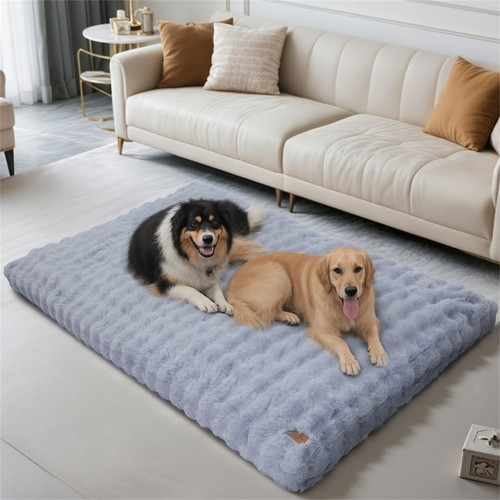 Pet dog crate - dog,