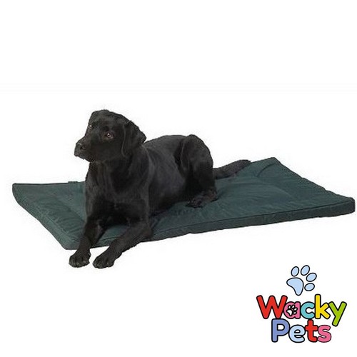 Dog bed house paws water - bed,