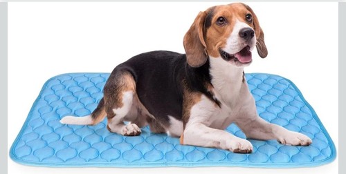 Dog cooling mat - dog,