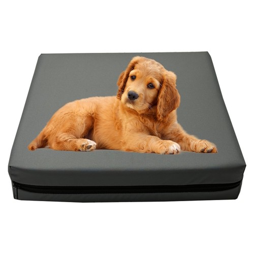 Heavy duty dog - heavy, bed