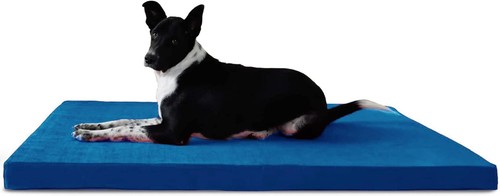 Waterproof mattress for - waterproof,