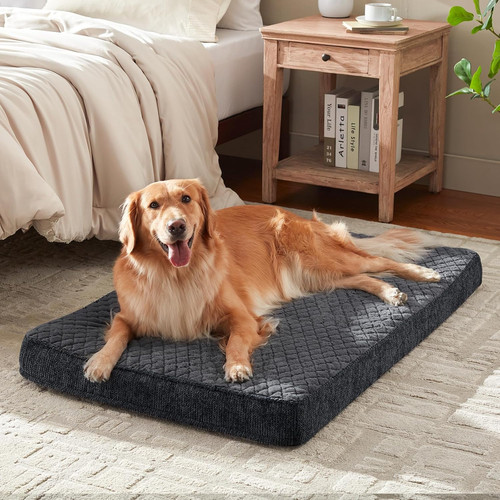 Joejoy extra large orthopedic - joejoy,
