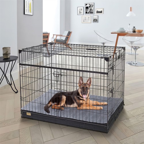 Orthopedic dog bed - dog,