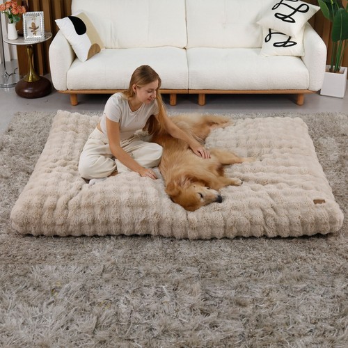 Dog bed soft - bed, pet