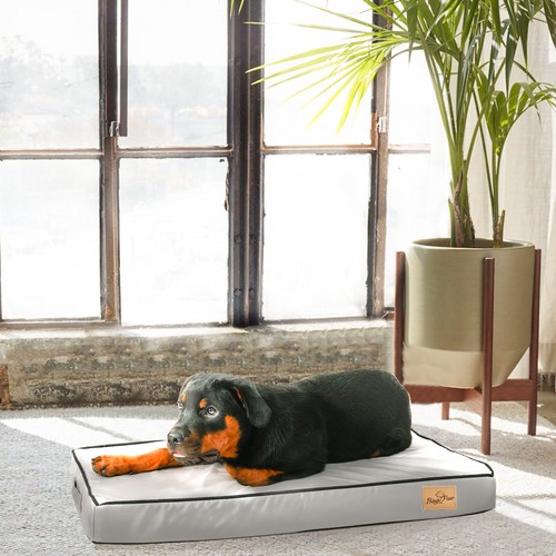 Bingo paw oversized integral - bingo,