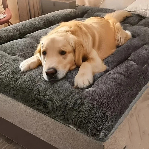 Dog bed soft pet - dog, large