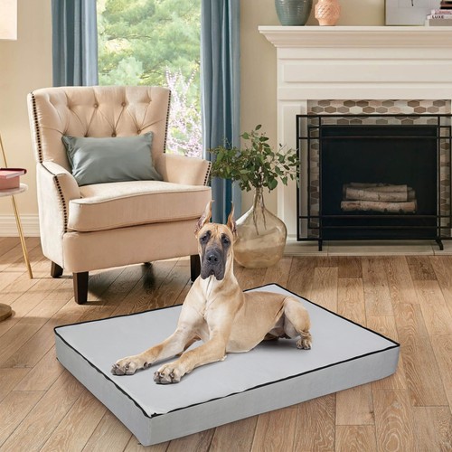 Bingopaw large dog - bingopaw, bed