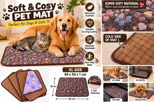 Dog cat cute - cat, xl