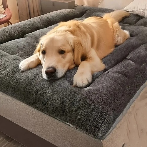Dog bed soft - soft, pet