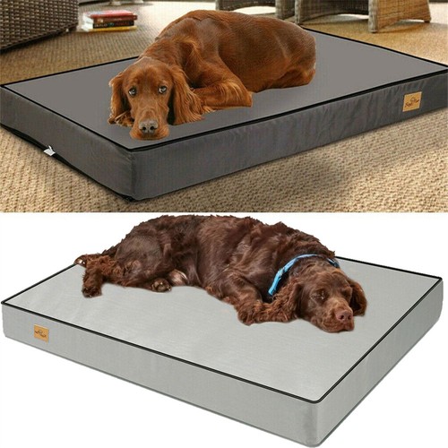 Orthopedic dog bed waterproof - orthopedic,