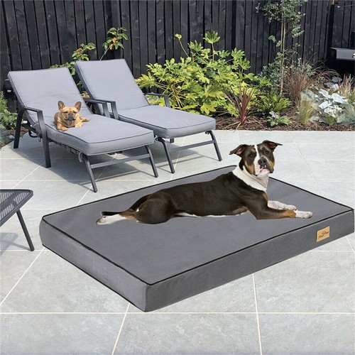 Jumbo orthopedic dog bed - orthopedic,