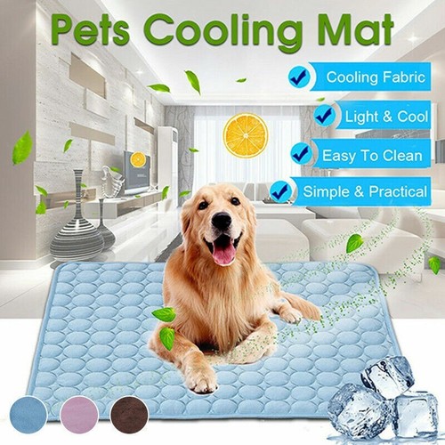 Cooling mat for dogs - for,