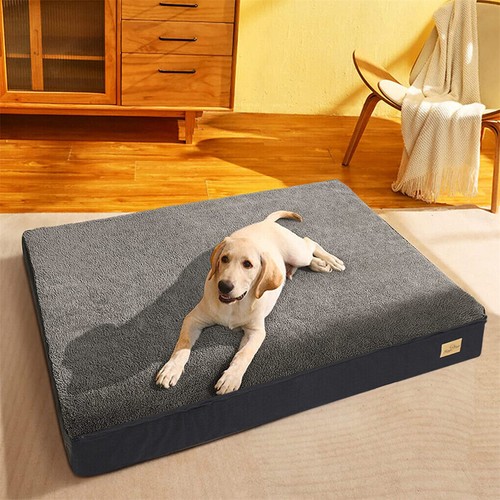 Large orthopedic dog - x-large,