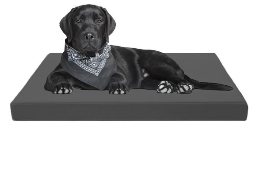 Heavy duty dog - heavy,