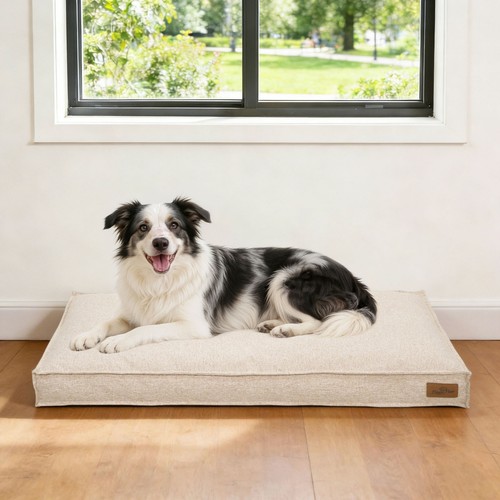 Orthopedic dog bed - dog,