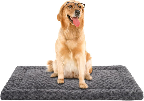 Washable large dog - large, for